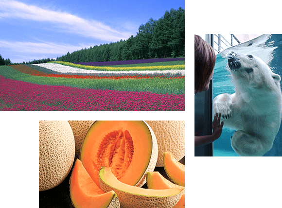 写真 富良野・旭川観光