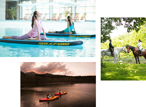 写真 アクティビティ