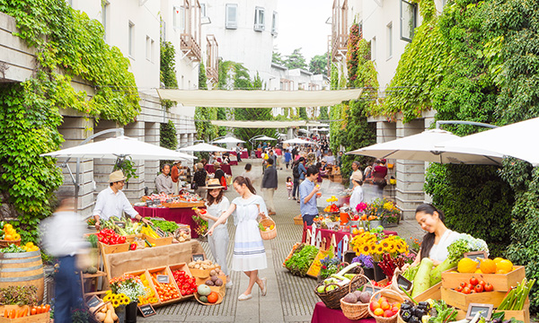 写真 石畳の回廊