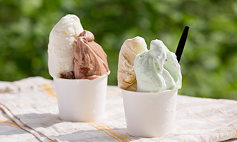 写真 ジェラート