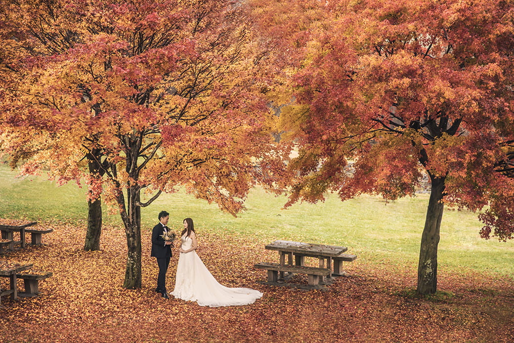 写真:八ヶ岳の四季